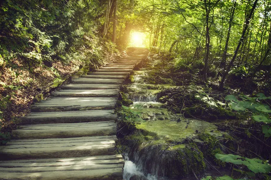 Leadership Lessons Learned Along the Way